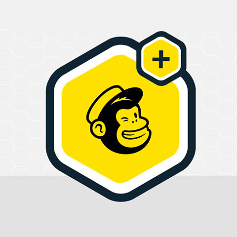 Gravity Forms MailChimp