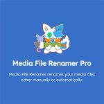 Media File Renamer Pro